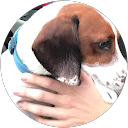 Kathryn Schrank profile picture